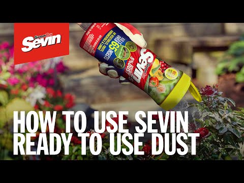 How to Kill Insects in Your Garden with Sevin Ready to Use Dust