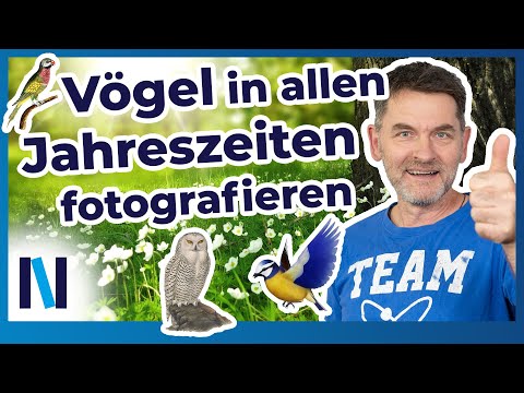 Vogelfotografie: Mit diesen Tipps zur Motivfindung in allen Jahreszeiten gelingen Dir perfekte Fotos