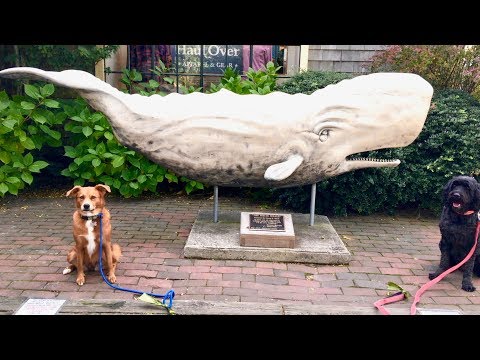 NANTUCKET - Old Whaling Capital of the WORLD!