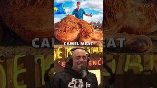 Camel Meat is Better than Beef? - Joe Rogan