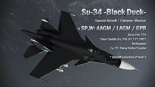 ＃12【音声無しエースコンバット7マルチPVP】飛行神経悪い人間ラダー神空猫がマルチPVPでSU-34でMVPを目先す。「フライト」