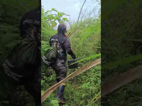 Mais uma pescaria no município de Schoroeder-Sc. Será que deu peixe hoje? Bora ver meu povo.🎣🐟