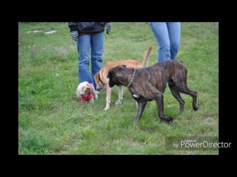 Óriási viccek 1.rész