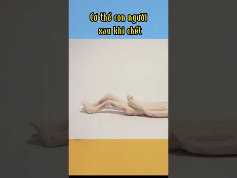 Cơ thể con người sau khi chết |Khoa Học Thú Vị