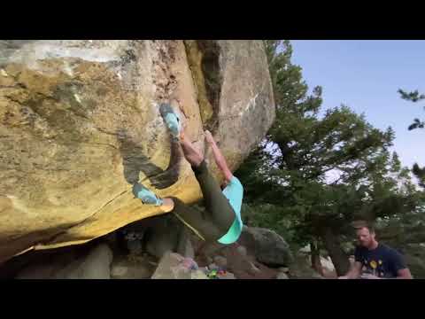 Maxwell’s Demon v14 FA