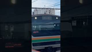 赤羽駅　回送の231が出没