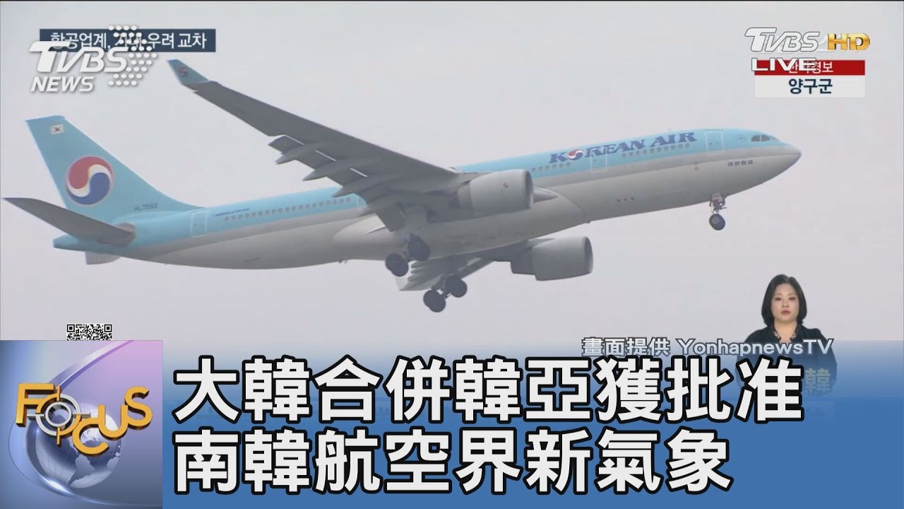 大韓合併韓亞獲批准 南韓航空界新氣象