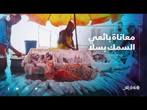 بائعو السمك بسلا يطالبون بتغيير سوق عشوائي وإحداث آخر نموذجي للحد من معاناتهم
