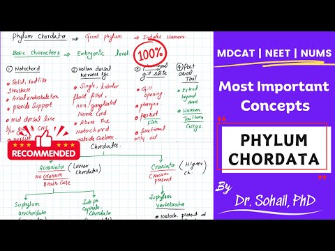 Kingdom Animalia | Phylum Chordata | MDCAT | NUMS | NEET