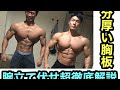 岩石大胸筋の作り方。腕立て伏せ完全解説【家トレ】