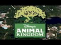 Disney S Animal Kingdom Promo 2