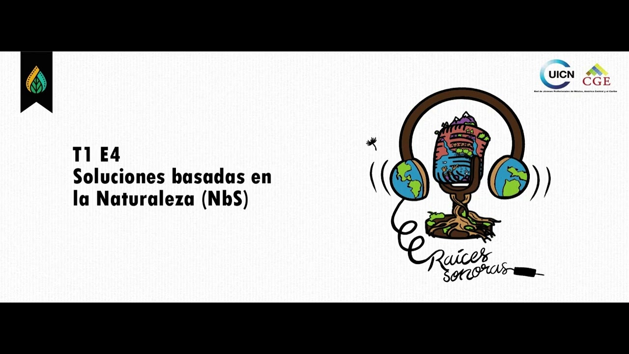 T1 E4 Soluciones basadas en la Naturaleza (NbS)