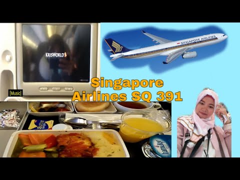 SINGAPORE AIRLINES ECONOMY CLASS SQ 391 ISTANBUL TO SINGAPORE