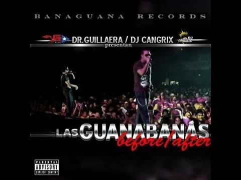 las guanabanas ft ñejo y dalmata - maldita puta remix