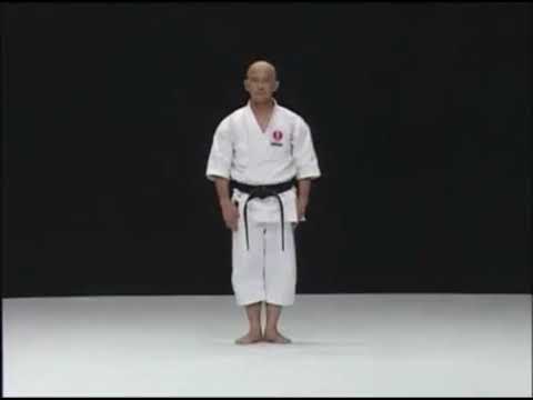 Ryuei-ryu - Sakumoto-sensei - Paiku