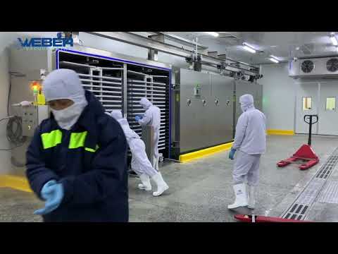 Weber Vacuum Freeze Drying technology