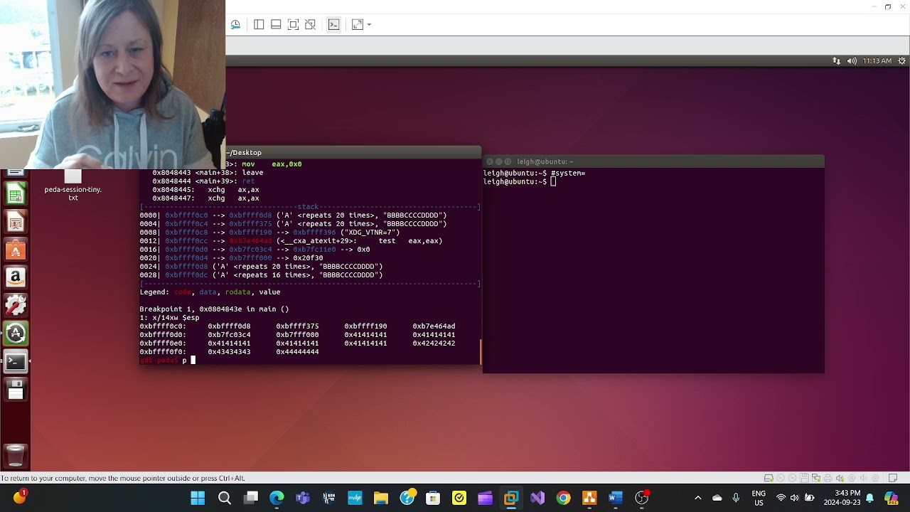 Bypassing Data execution prevention