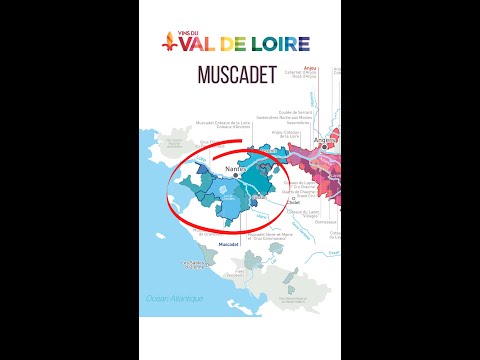 Muscadet, Pays Nantais, Loire Valley - Learn about Muscadet and Loire Valley #wine #loirevalley