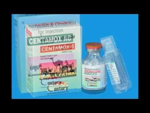 Immunity Booster Poultry Medicines