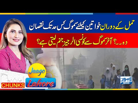 How dangerous is smog exposure for women during pregnancy? | What are its harmful effects?