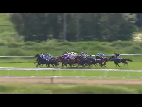 2019.06.16  Svenskt 1000 Guineas (formerly Dianalöpning) - Queen Rouge