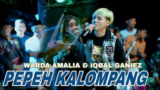 Download lagu PEPEH KALOMPANG WARDA AMALIA Feat IQBAL GANIEZ MBO... mp3