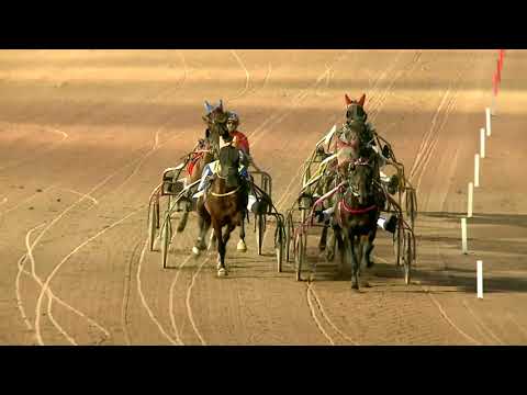 2019.10.19. 09. futam - FÖVENY HENDIKEP