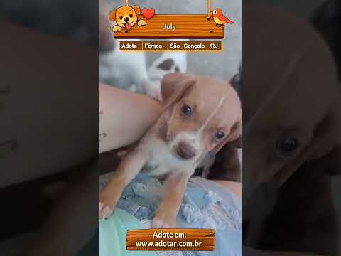 Vídeo de July