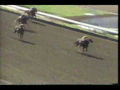 1987 Ohio Derby - Lost Code