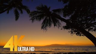 4K Tropical Beach - 3 HOUR Ocean Views with Spectacular Sunset - Launiupoko Beach Park, Maui, Hawaii