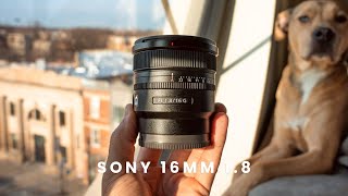 The BEST Vlogging Lens Sony has ever made! Here are 5 reasons why
