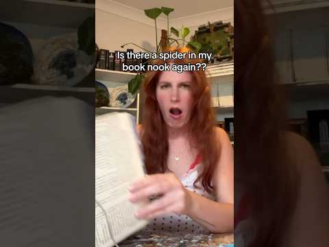 Just found another spider nest in my book nook omg! #booknook #arachnophobia