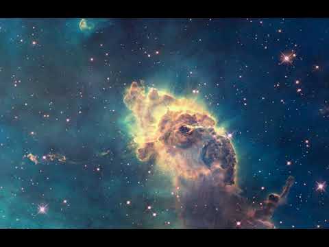 Dr  Ornstein on human perception