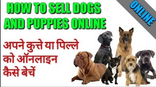 HOW TO SELL YOUR DOGS AND PUPPIES ONLINE | अपने कुत्ते या पिल्ले को ऑनलाइन कैसे बेचें|DOG LOVER 555|