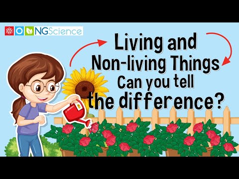 Living and Non-living Things – Can you tell the difference?