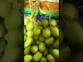 Naan Manthoppil Song Shorts Shortfeed