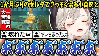 【ゼルダの伝説 BotW】1ヶ月ぶりのゼルダで早速沼って壊れかける小森めとｗ【ぶいすぽ/切り抜き】