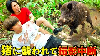 イノシシに突進されメンバーの肋が折れる。危険な森に入ってしまいました。