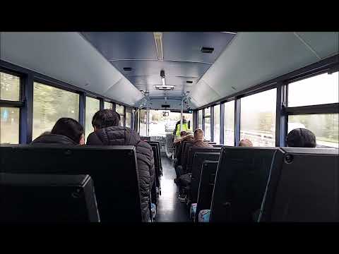 *THRASH* | Journey On Greater Anglia Rail Replacement | SN55DVA (Transbus Enviro 300)