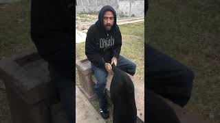 Babo cartel de santa y su pantera noche