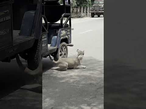 عالم الضحك مع مصطفى المومري