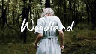 The Paper Kites - Woodland