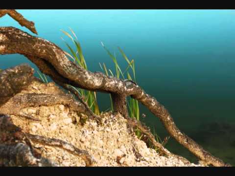 Lukasz Napora - The Second Best of 2010 Mix