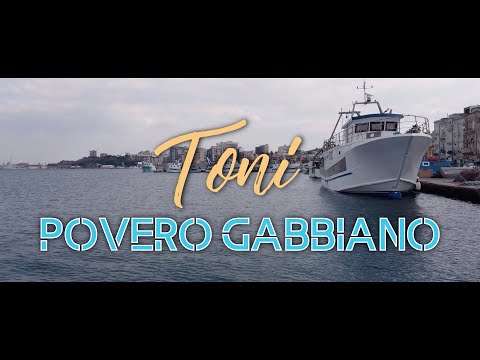 Toni- Povero gabbiano (cover Gianni celeste)