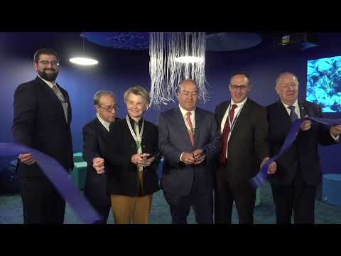 Port Authority Sensory