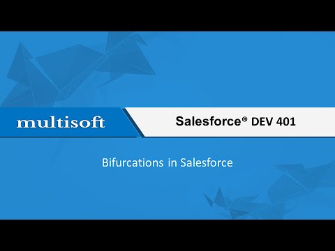 Salesforce Bifurcations Training 
 