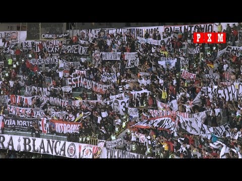 "Hinchada de Colo Colo en el Hernando Siles de La Paz, Bolivia (Bolívar 1 - Colo Colo 1)" Barra: Garra Blanca • Club: Colo-Colo