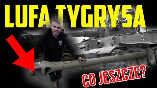 Szaleństwo we Francji! Jest TYGRYS!