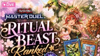 hawk tuah diamond 3 start [YUGIOH MASTER DUEL]