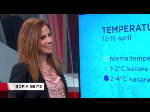 Här är väderprognosen för hela påskhelgen - Nyheterna (TV4)